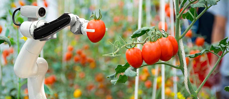 Robots en industria agroalimentaria