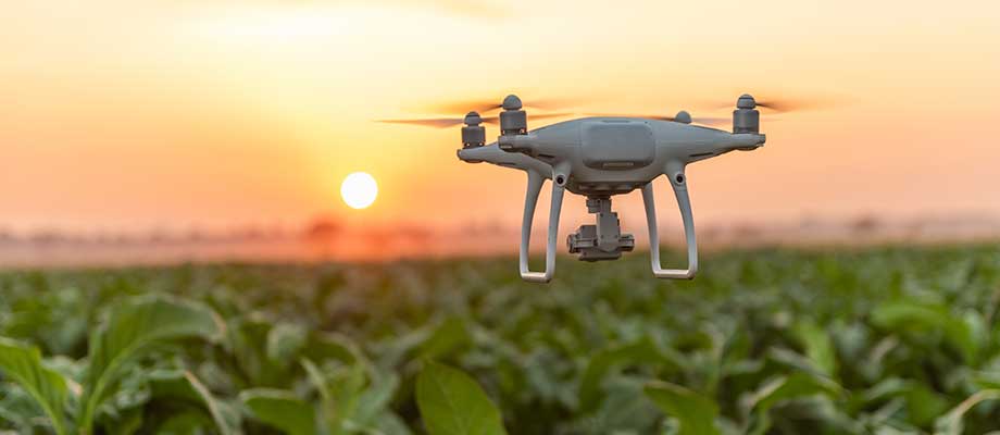 Drones de agricultura