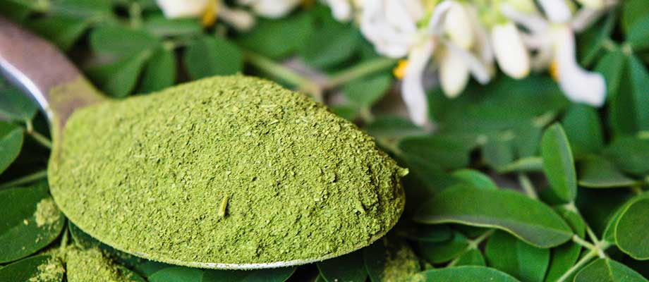 Moringa