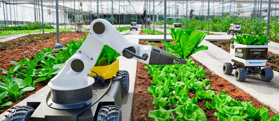 Tecnología en la agricultura