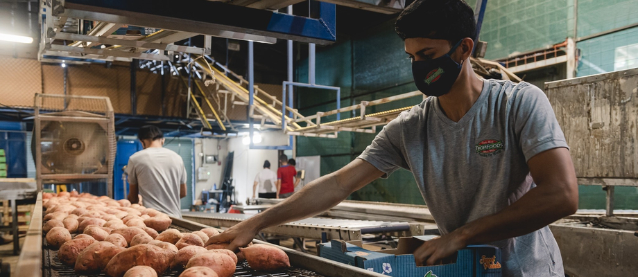 Línea de producción. Empaque de camte naranja.